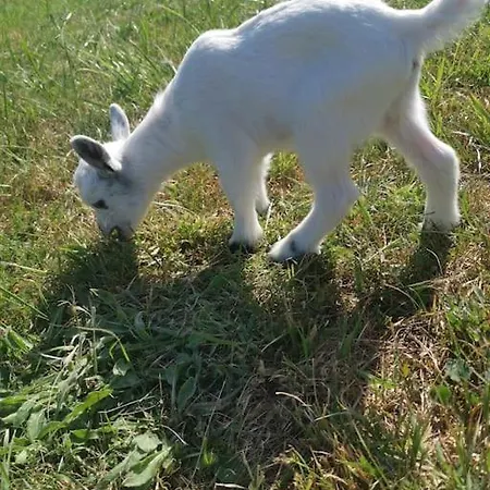 Au Domaine Des Charmes *