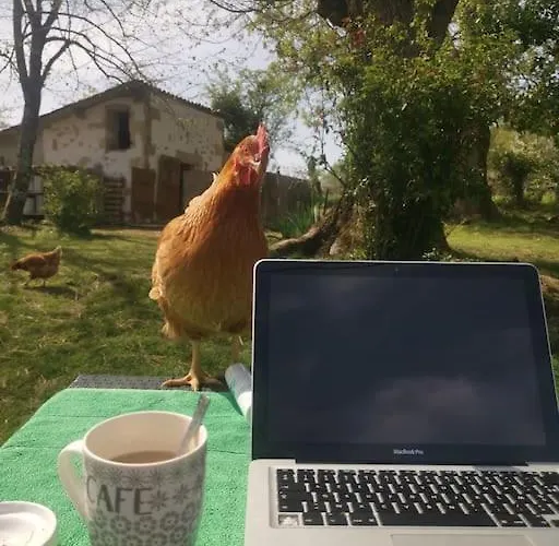 Vakantiehuis Au Domaine Des Charmes