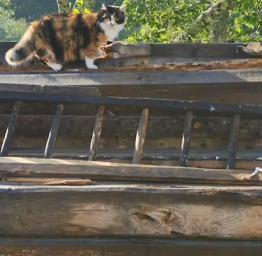 Au Domaine Des Charmes Castelviel